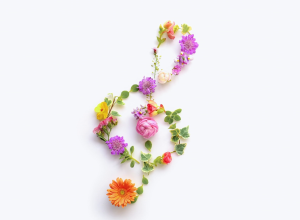 音楽教室アーシュ ピアノ教室